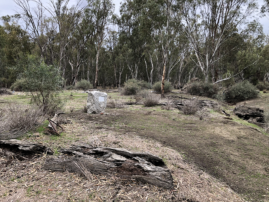 Old red gum sawmill site - June 2019