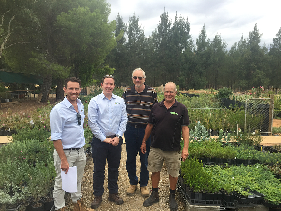 Landscaping begins - RMS and HL Landscapes selecting seedlings at a local nursery