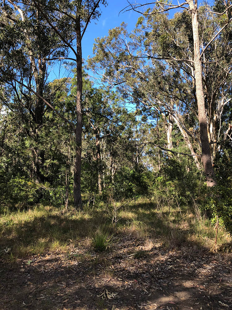 Typical south coast bushland needed for offsets