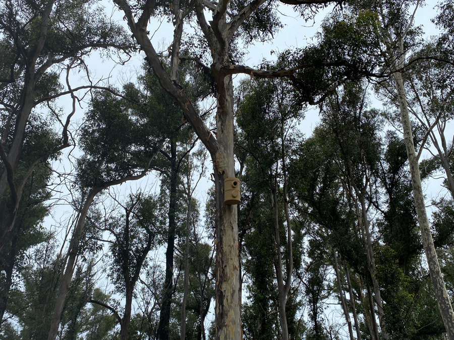 South Batemans Bay link road