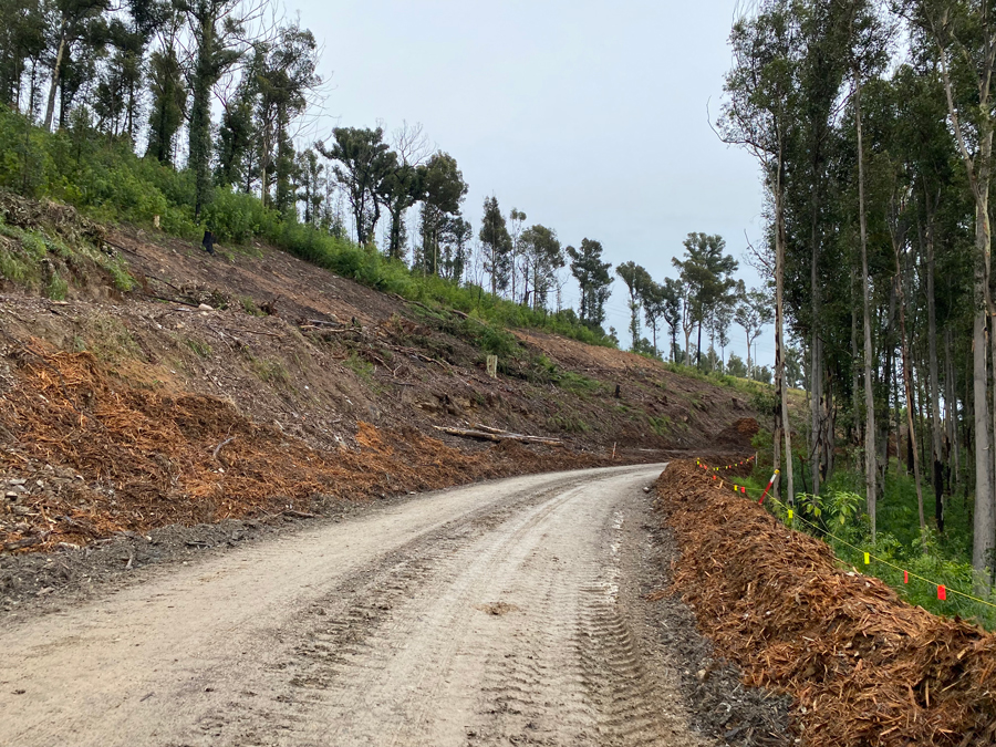 South Batemans Bay link road