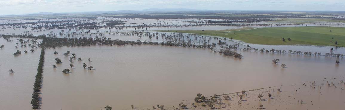 Aerial image of flooding between West Wyalong and Forbes in 2016. 