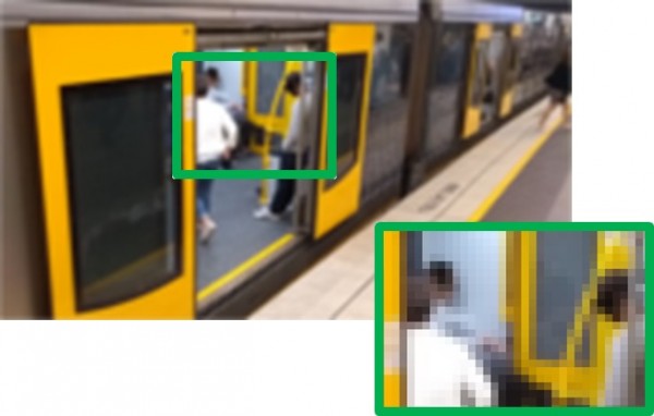 Images from the conventional video cameras are pixelated within the camera and before the images are processed by the software or stored on a server