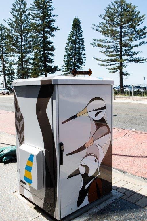 Be Here 2019 Collaroy Shorebirds Of Collaroy 2019 Eggpicnic