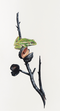 Green and Gold by Thomas Jackson