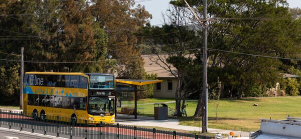 An outbound B-Line and local bus stop and shelter on Pittwater Road