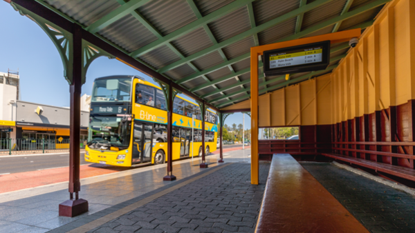 Refurbishment of the existing wooden heritage shelter