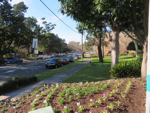 BEFORE - Banksia Ave looking East