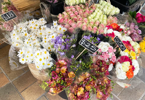 Selection of flowers in a florist
