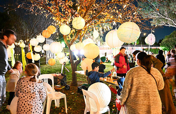 Kingswood ‘Live, Work, Play Grid’, Places to Love program, Penrith. Credit: Penrith City Council