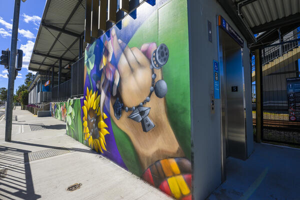 Close up image of the public art at Canley Vale Station  