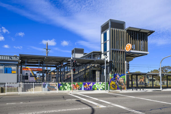 Image of the public art at Canley Vale Station  
