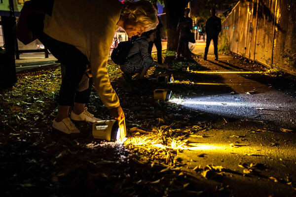 Participants at a nightwalk around Stanmore Station use torches to envision potential lighting interventions