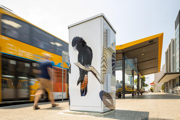 Glossy Black Cockatoo, 2019 by Thomas Jackson. Location: Manly Vale bus stop. Image: Transport for NSW.