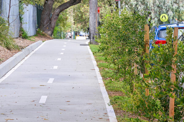 Sutherland to Cronulla Active Transport Link 2 East - Denman Ave landscaping
