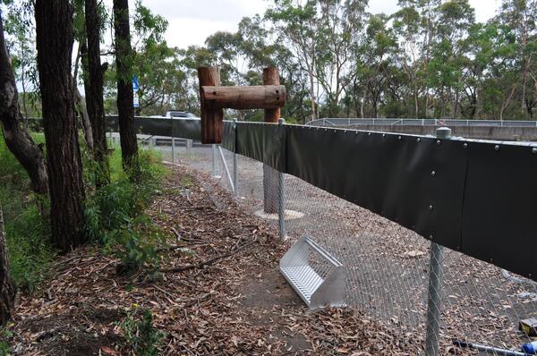 A newly installed Fauna Escape Hatch, complementing existing fauna fencing and escape pole.