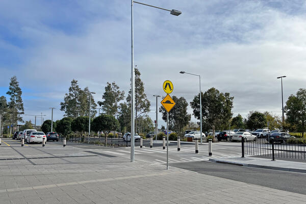 Transport for NSW Upgraded pedestrian crossing with safety bollards and fencing.