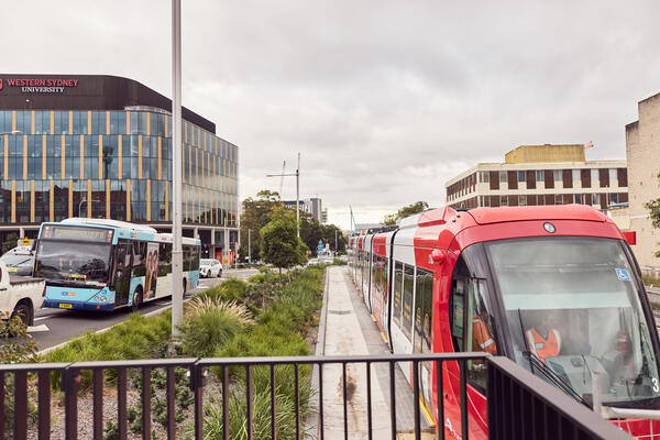 Transport for NSW Light rail and bus in traffic.