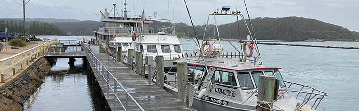 Narooma Wharf replacement