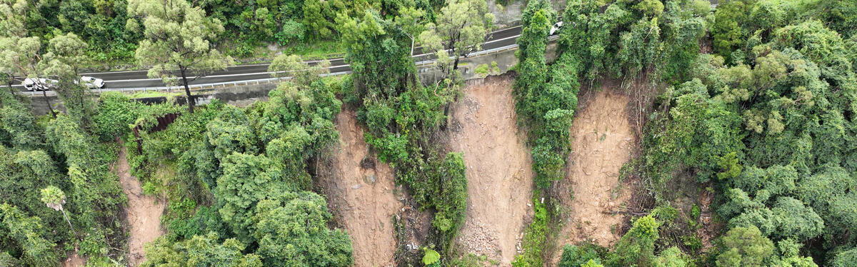 An aerial view of a mountain with landslip areas amongst trees on the slope below a road. 