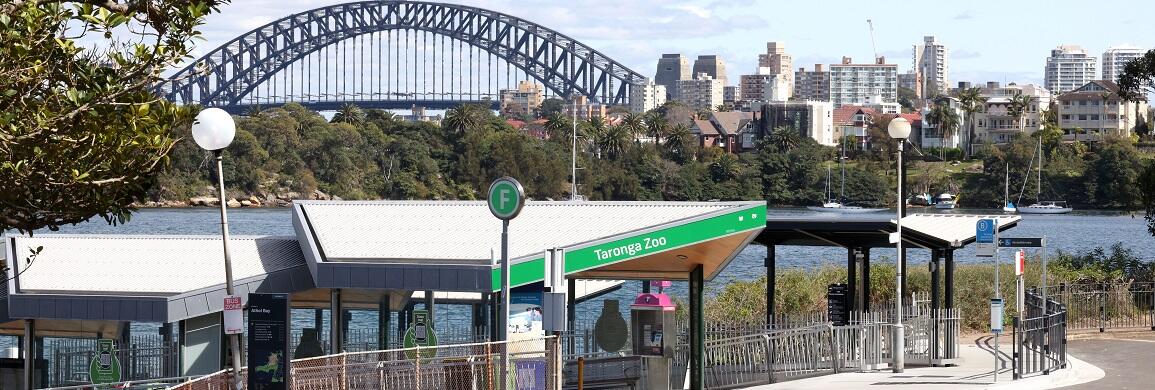 Taronga Zoo Wharf Upgrade