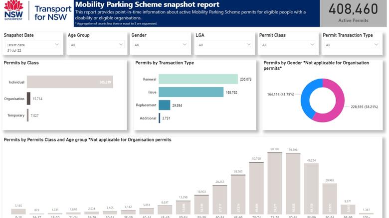 Mobility Parking Scheme snapshot report