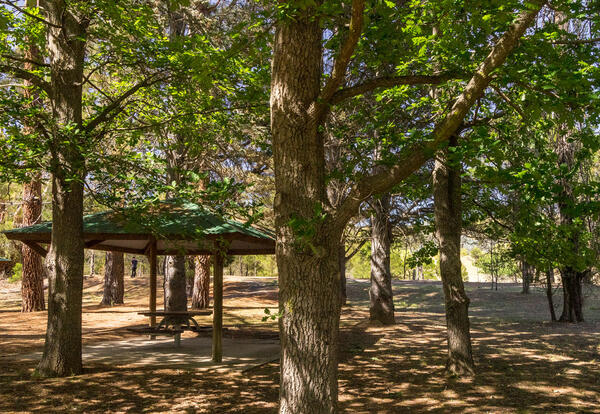 Remembrance Driveway - Rest areas: Marulan to Sydney